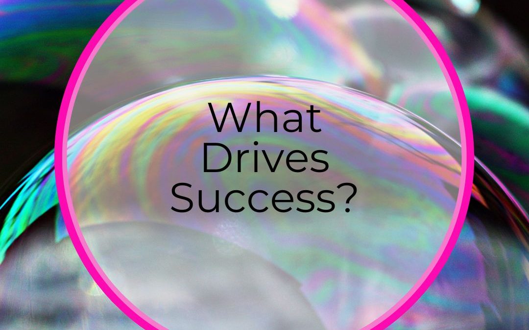 What Drives Success?